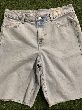 No Boundaries Pale Blue Men's Denim Shorts